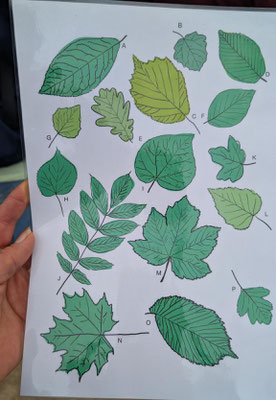 Foto: Eva Burkart