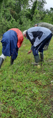 Dazwichen gab es auch immer wieder etwas zu entdecken ...