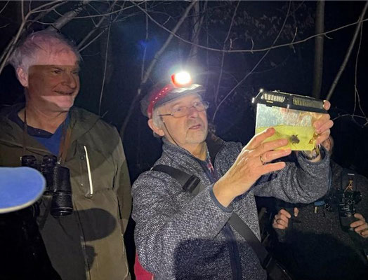 Die Teilnehmer lauschen dem Grasfroschchor und bekommen die Erkennungsmerkmale der Männchen erklärt. (Foto: Klaus Blachut)