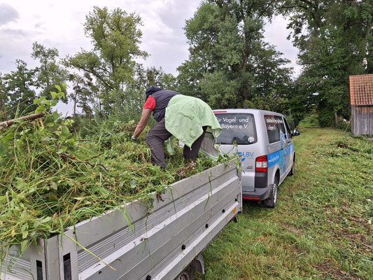 Foto: Hartmut Lichti