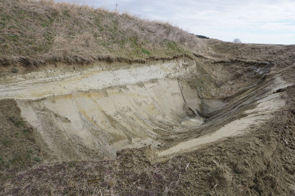 Steilwände für Solitärinsekten