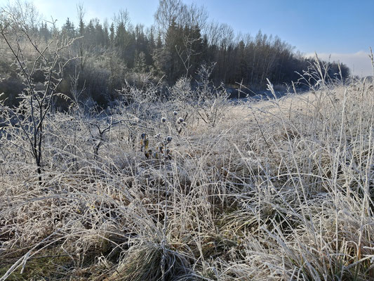Foto: Hartmut Lichti