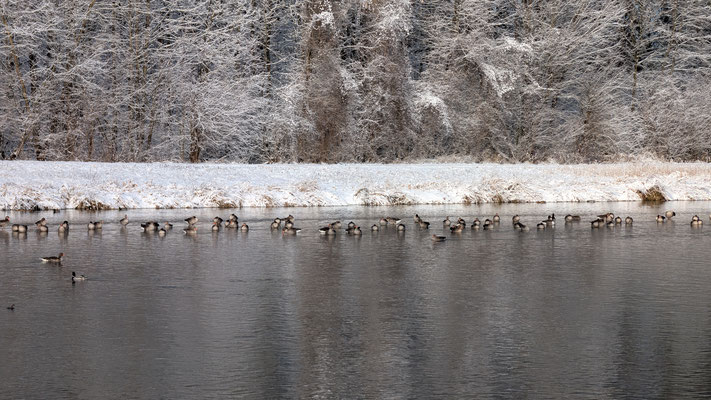 Foto: Familie Strobl