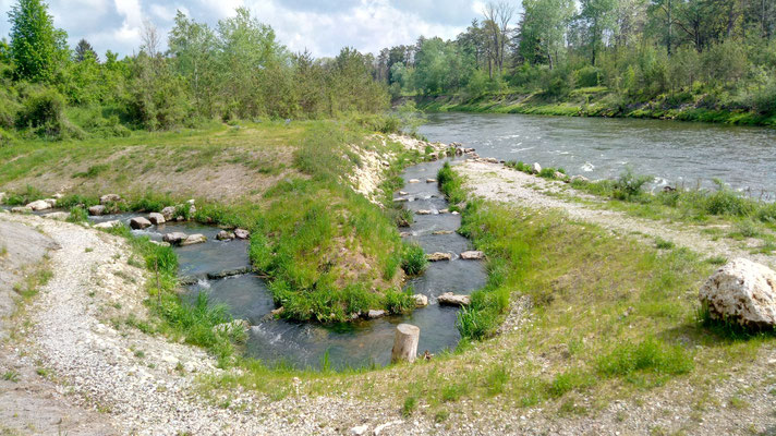 Fischbach Einmündung (Foto: Eva Burkart)