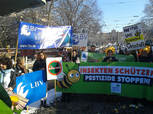 Bienendemo mit Augsburger Beteiligung in München