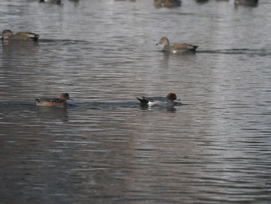 Foto: Familie Strobl