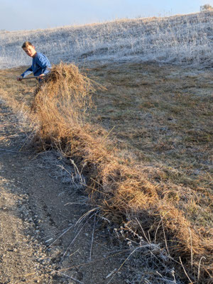 Foto: Hartmut Lichti