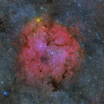 Nebulosa Trompa de elefante