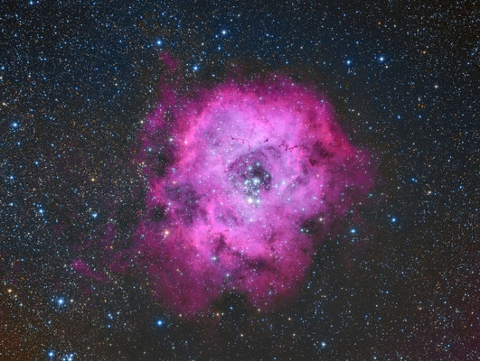 Nebulosa Roseta NGC2244