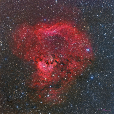 Nebulosa craneo de Simio NGC7822