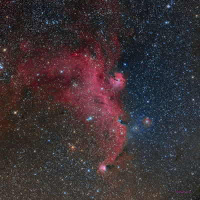 Nebulosa de La Gaviota