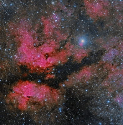 Nebulosa de la mariposa IC1318