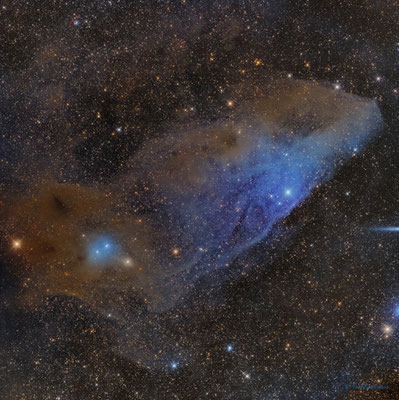 Nebulosa Cabeza de caballo azul IC4592