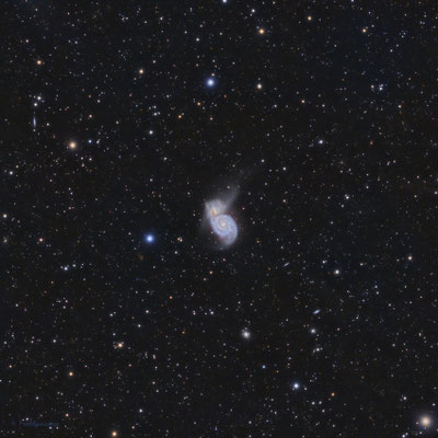 Whirpool Galaxy