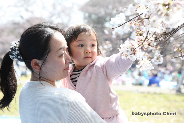 桜撮影会