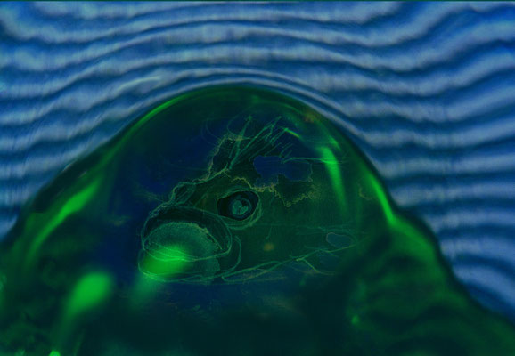 algen - verlorener meeresraum IV