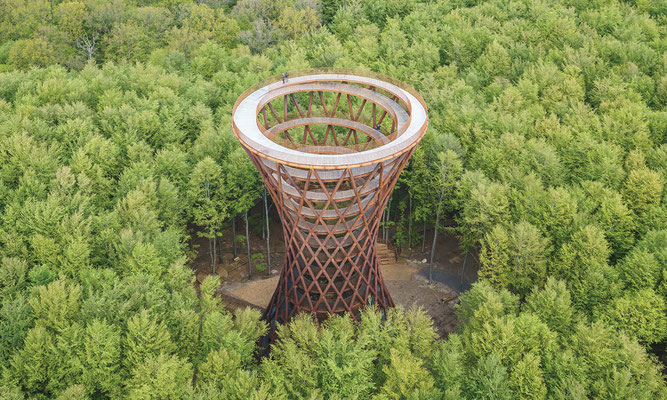 The Forest Tower, a vertical walkway without disturbing the local flora and fauna.