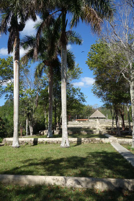 Ancienne plantation de café "Buenavista Coffee Plantation"