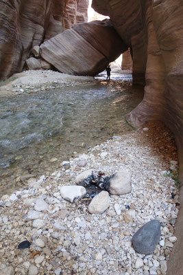 Déchets dans le wadi Al-Hasa