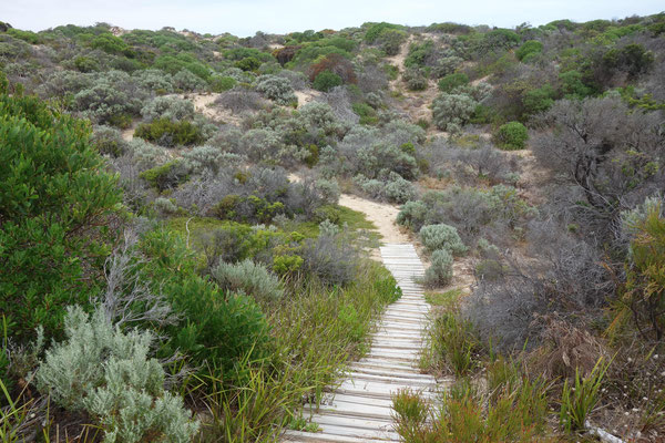 Dunes au 42 Mile Crossing (Coorong National Park)