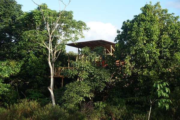 Onca Tours & Tree Houses : cabane