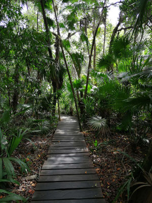 Sentier interprétatif de Muyil