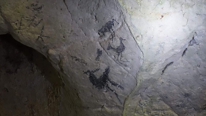 Pictogramme dans la Cueva de La Linea