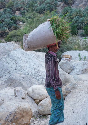Paysan croisé dans le Wadi Tiwi