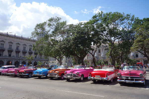 Parque Central : vieilles voitures américaines
