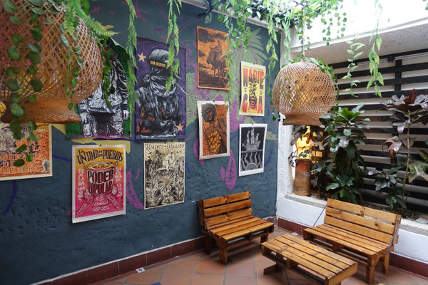 Intérieur de la Trocha sentires de la montaña
