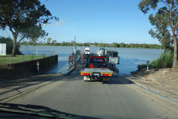 Bac pour traverser la Murray River à Wellington