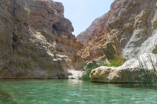 Piscine d'eau douce d'un bel émeraude du Wadi Shab