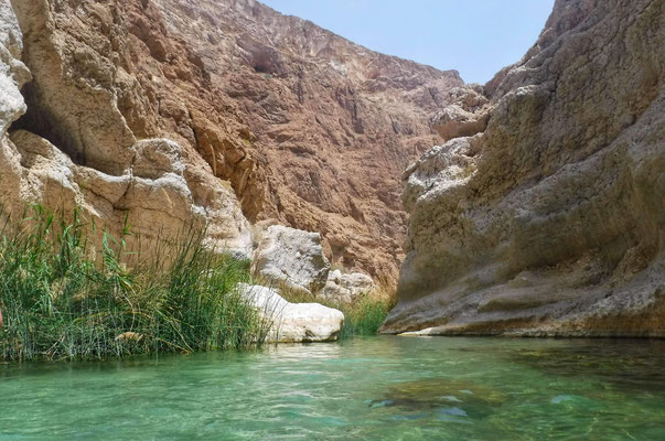 Baignade dans le Wadi Shab