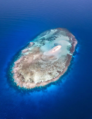 Cayo Arena (godominicanrepublic.com)
