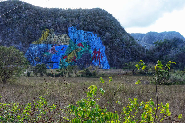 Fresque peinte sur la paroi du mogote Dos Hermanas, l’une des plus grandes du monde (80 m de haut sur 120 m de large)