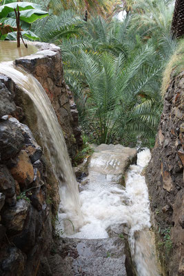 Aflaj débordant d'eau à Misfah