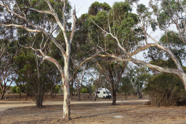 Discovery Lagoon Camping Ground 
