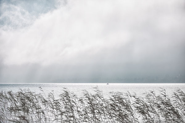 Der Tegernsee IIX // 2009 // LIMITIERTE EDITION