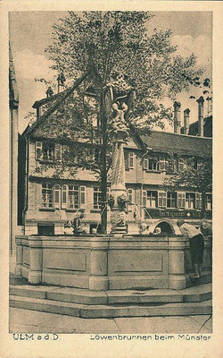 Der Ulmer Löwenbrunnen steht im nordwestlichen Bereich des Münsterplatzes.