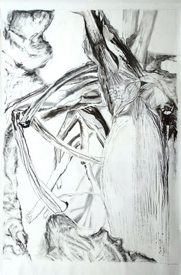 Bananenstaude 3, Zeichnung Kohle auf Papier, 143x100cm, 2018