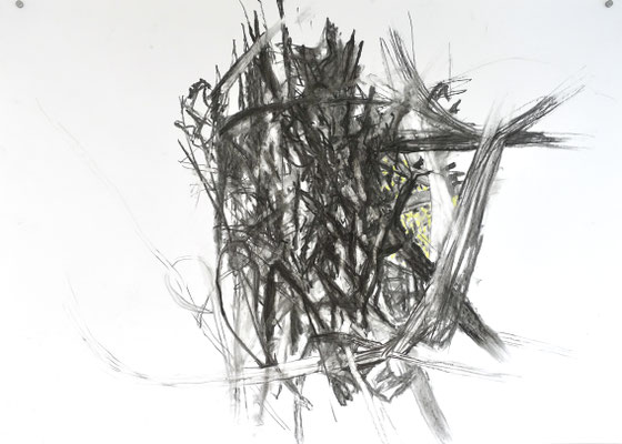 Wildwuchs 1, Zeichnung Kohle/Pastellkreide, 70x100 cm, 2024
