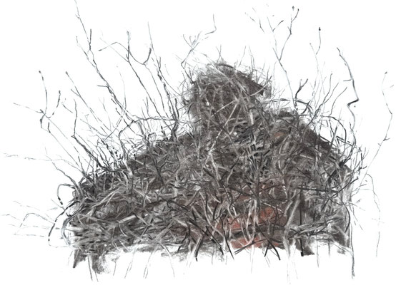 Verdichtung 1, Zeichnung Kohle/Pastellkreide, 59x84 cm, 2025