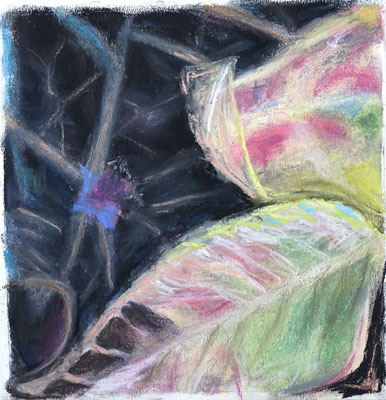 Herbstlaub 3, 20x20 cm, Pastellkreiden auf Papier, 2022