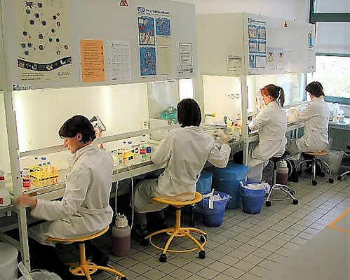 Das Lehrlabor bot Plätze für bis zu 12 Teilnehmer*innen. Zur Ausbildung gehörte u.a. das sichere Arbeiten an sterilen Werkbänken.