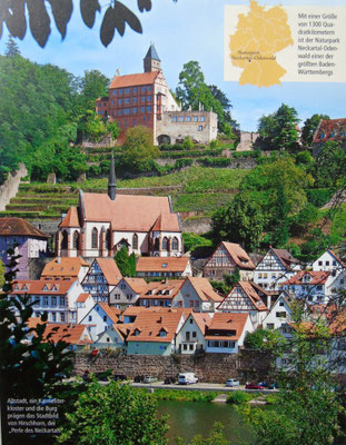  Stadt und Burg Hirschhorn, vom Profi Johannes Geyer fotografiert.