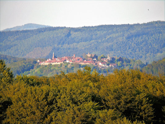 Von meinem Heimatdorf Gaiberg aus fotografiert erkennt man deutlich den festungsartigen Charakter des Dilsberges. Nicht zu sehen ist der Neckar, der sich in einer engen Schleife um den Bergfuß herumwindet [Foto: Autor].