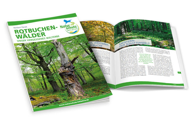broschuere-naturschutzinitiative-logodesign-logogestaltung-grafikdesign-webdesign-grafik-thielen