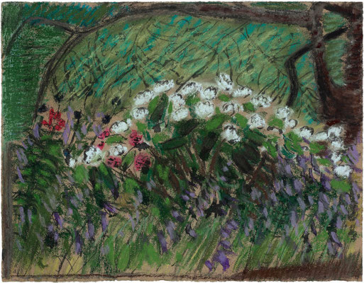 Hortensien. Pastell, Tusche. 24,5×31,4 cm. 2017