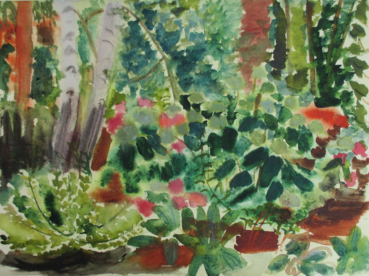 Gartenstück mit Hortensien. 2017. Aquarell. 36 x 47,8 cm