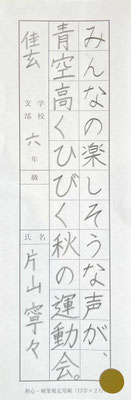 濃くしっかりとした線質で丁寧に最後まで書けました。素晴らしいです